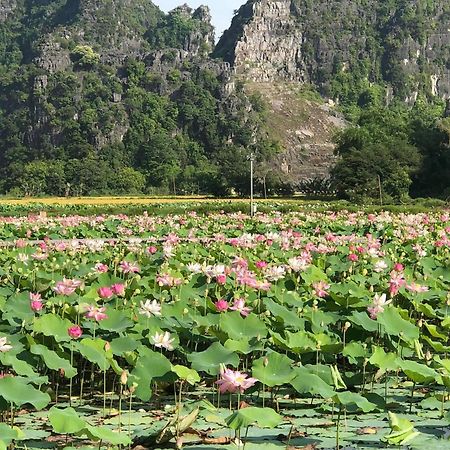Tam Coc - Thanh Homestay Ниньбинь Экстерьер фото