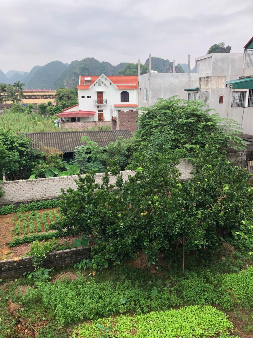 Tam Coc - Thanh Homestay Ниньбинь Экстерьер фото