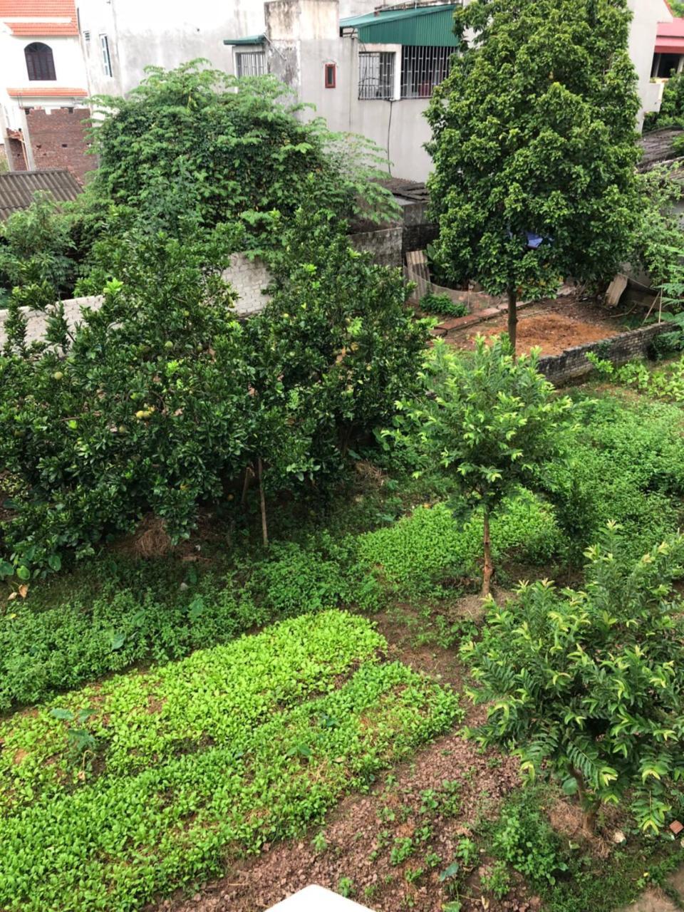 Tam Coc - Thanh Homestay Ниньбинь Экстерьер фото